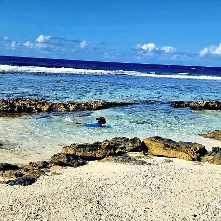 Un Ecrin De Paix Au Soleil Et Proche De La Mer Moorea Exterior photo