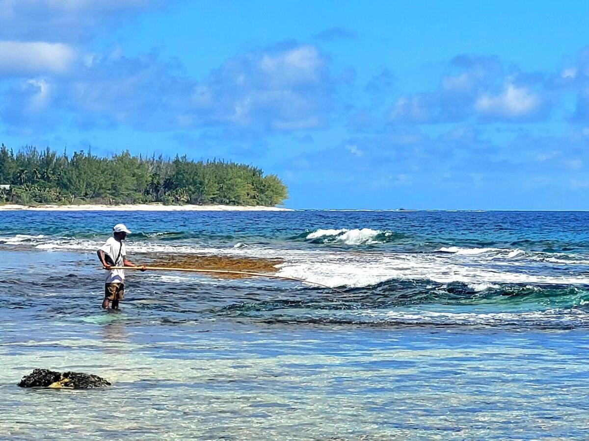Un Ecrin De Paix Au Soleil Et Proche De La Mer Moorea Exterior photo