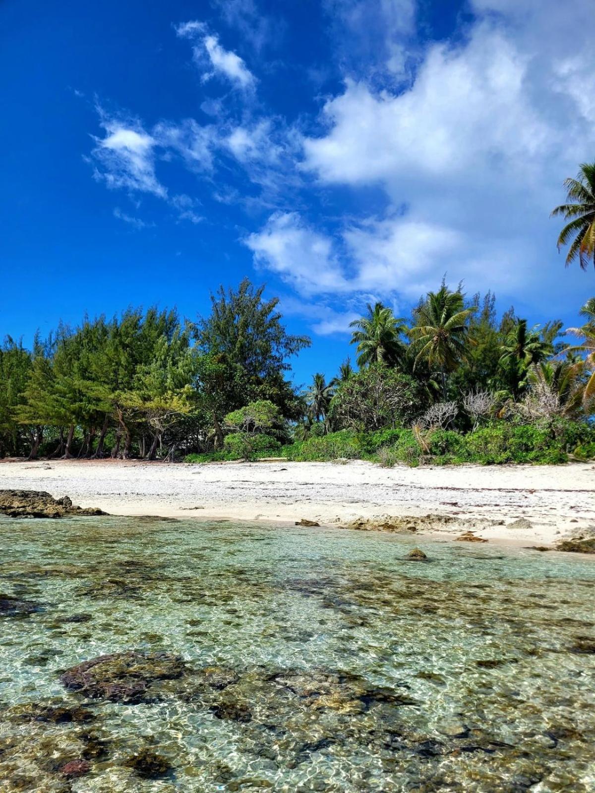 Un Ecrin De Paix Au Soleil Et Proche De La Mer Moorea Exterior photo